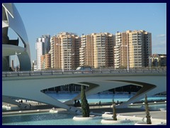 Highrise buildings near City of Arts and Sciences 